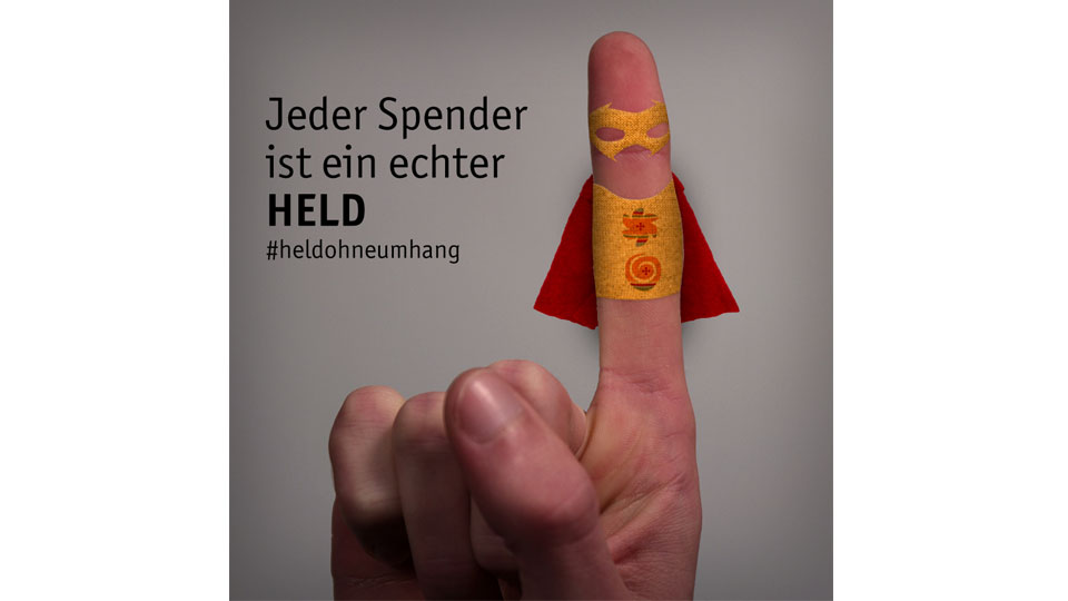 Steinert Sorting Solutions